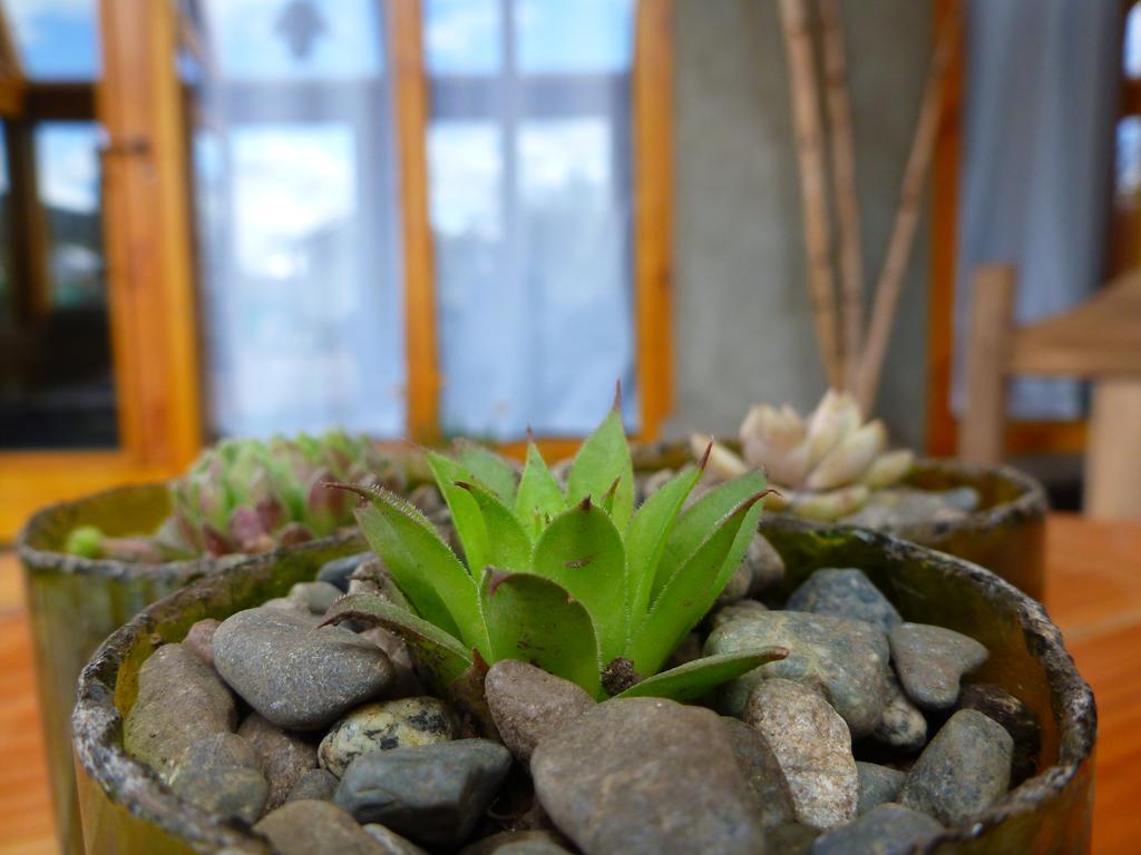 Earthship Patagonia Eco Accommodations Ель-Больсон Екстер'єр фото