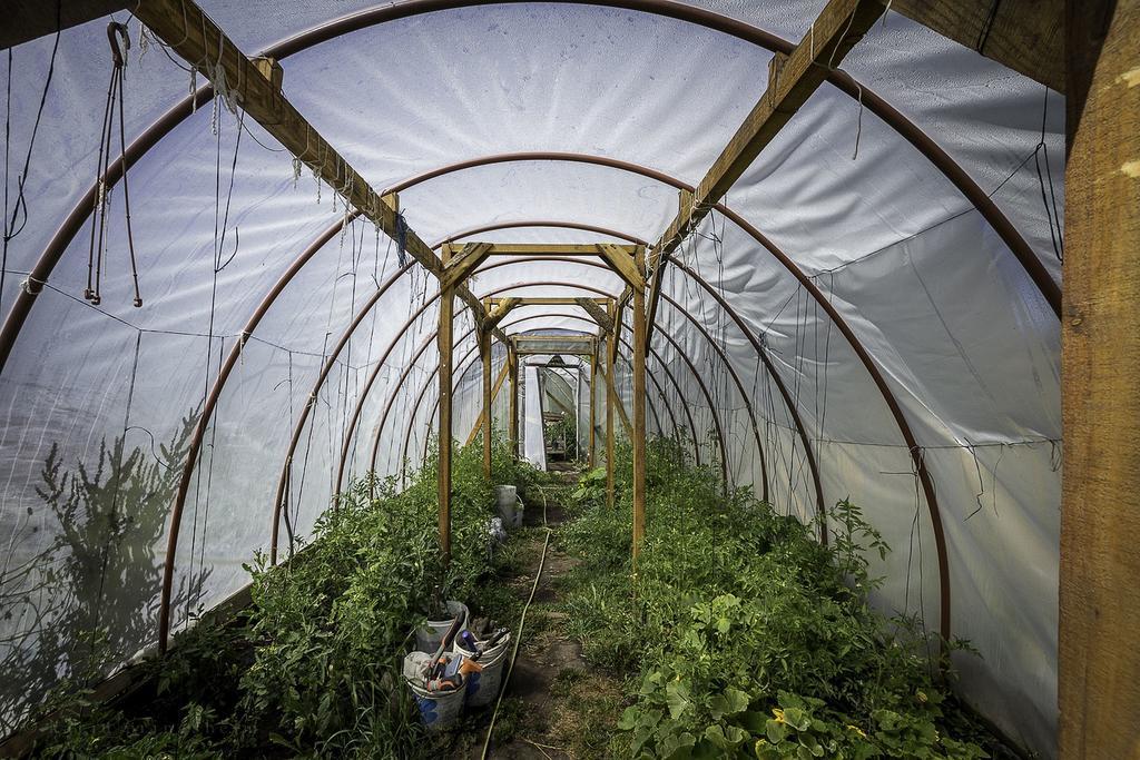 Earthship Patagonia Eco Accommodations Ель-Больсон Екстер'єр фото