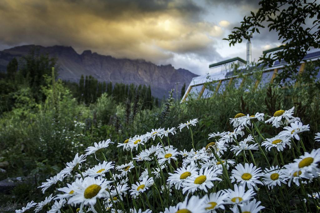Earthship Patagonia Eco Accommodations Ель-Больсон Екстер'єр фото